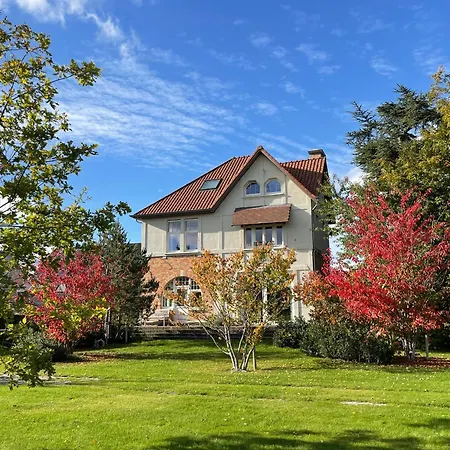 Magnolia Bed and Breakfast